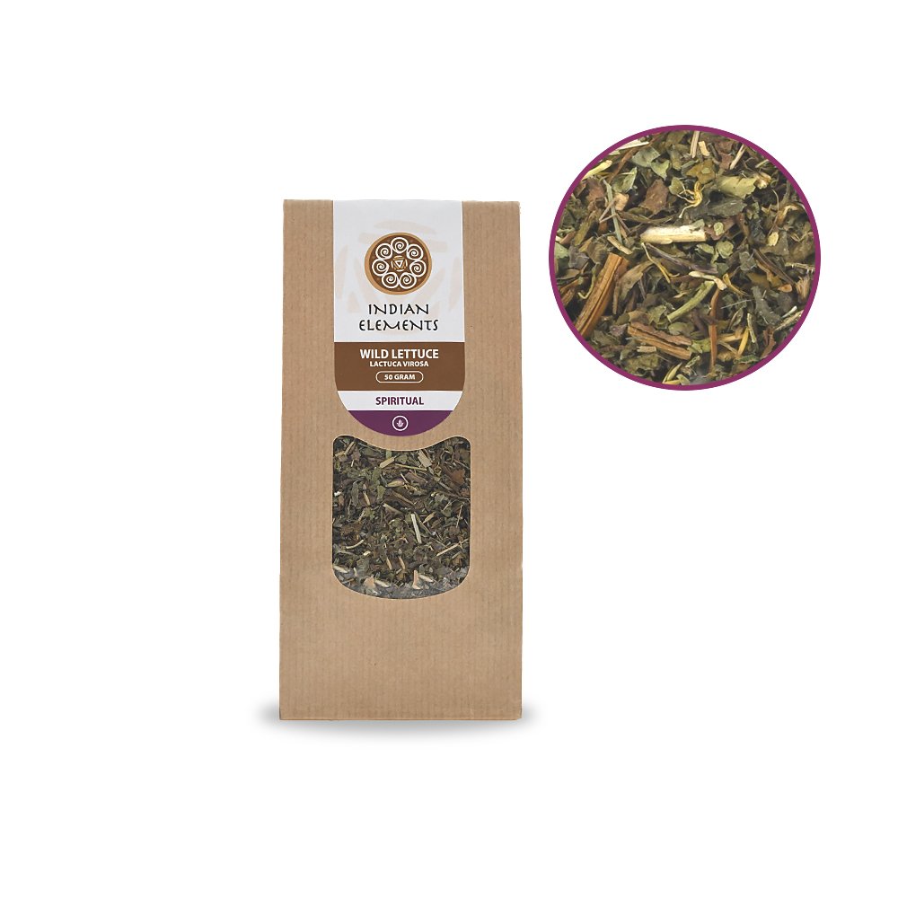Wild lettuce - 50 grams - TRRCSHOP